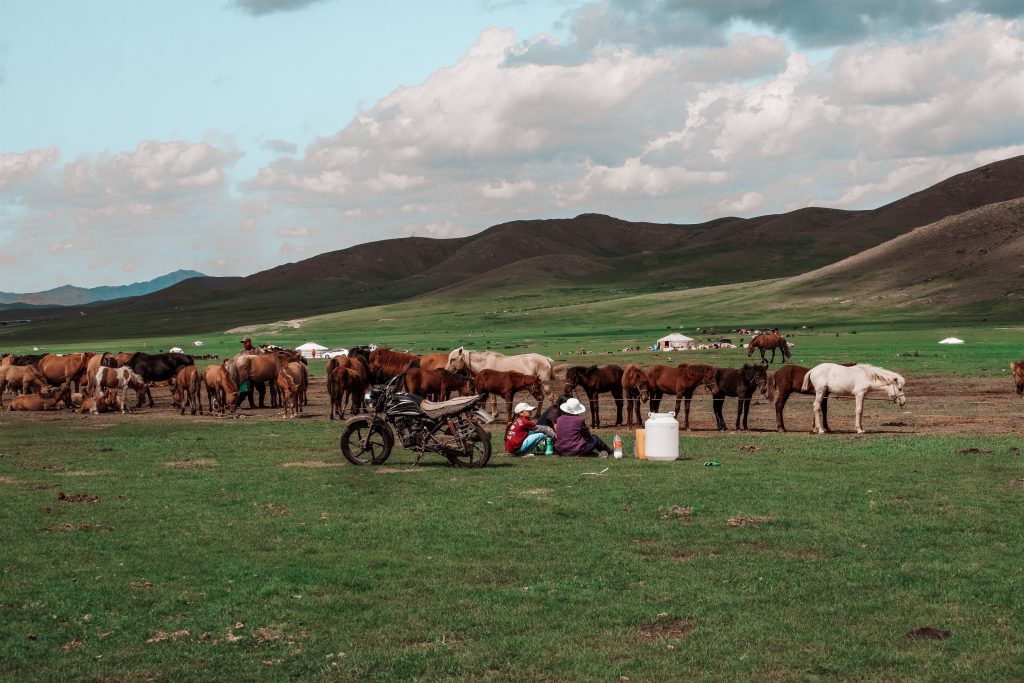 Mongolia Nomad Life