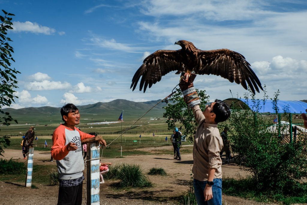 Mongolian Eagle
